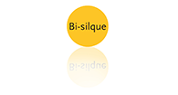 Bi-Silque Visual Communication Products Inc